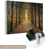 MuchoWow Glasschilderij 60x40 cm - Schilderij acrylglas - Pad - Bomen - Bos - Foto op glas - Schilderijen