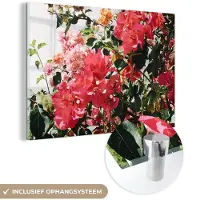 MuchoWow Glasschilderij 180x120 cm - Schilderij acrylglas - Bloemen - Struik - Zomer - Roze - Foto op glas - Schilderijen