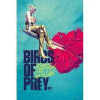 Grupo Erik Poster Birds of Prey - Broken Heart 61x91,5cm