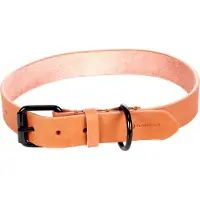 Flamingo Leano Hondenhalsband