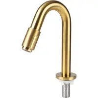 Differnz Fonteinkraan gebogen 19cm mat goud