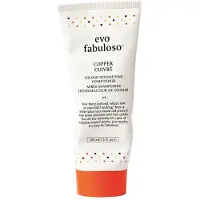 Evo Fabuloso Colour Intensifying Conditioner Copper