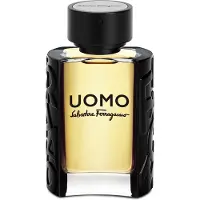 Salvatore Ferragamo Herengeuren Uomo Eau de Toilette Spray 50 ml