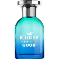 Hollister Herengeuren Feelin' Good Eau de Toilette Spray