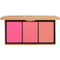 Ginza.se Blush Trio Beautiful Earthling Blush 4g
