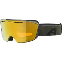 Alpina Skibril