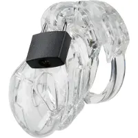 Locked in Lust The Vice - Kuisheidskooi - Peniskooi - Chastity Cage - Transparant - Mini