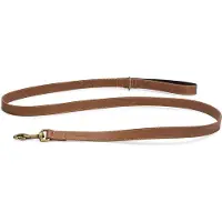 Beeztees Balacron Ax - Hondenriem - Kunstleer - Bruin - 180x2,5 cm