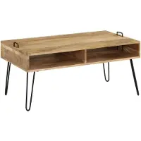 vidaXL Salontafel 100x60x45 cm massief mangohout