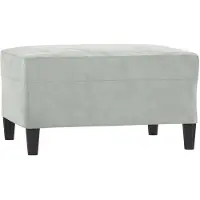 vidaXL Voetenbank 70x55x41 cm fluweel lichtgrijs