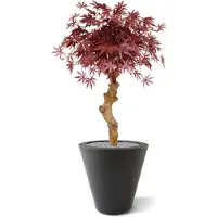 Maxifleur Kunstplanten Acer Bonsai kunstboom op stam 85cm - burgundy