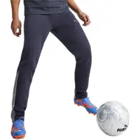 Puma Sportbroek 'Team Cup' navy / grijs gemêleerd