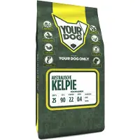 Yourdog Australische kelpie volwassen