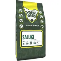 Yourdog Saluki volwassen