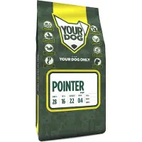 Yourdog pointer pup (6 KG)