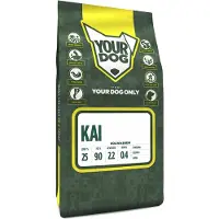 Yourdog Kai volwassen