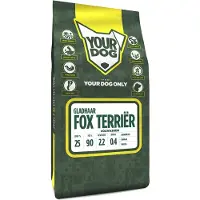 Yourdog Fox terrir gladhaar volwassen