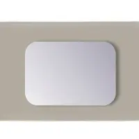 Sanicare Spiegel Rechthoek Q-Mirrors Afgeronde Hoeken 60x120 cm PP Geslepen Incl. Ophanging