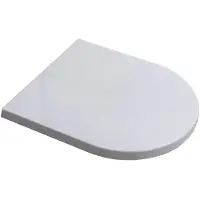 Royal plaza Kolor Belbo closetzitting met deksel softclose mat wit 1921172