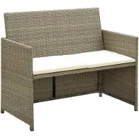vidaXL Tuinbank 2-zits met kussens poly rattan beige