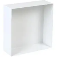 Plieger Inbox - Inbouwnis - Opbouwnis - RVS - 30 x 30 x 10 cm - Wit