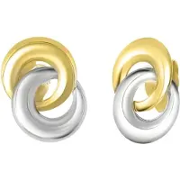 Lucardi Oorbellen 'Klassisch' goud / zilver