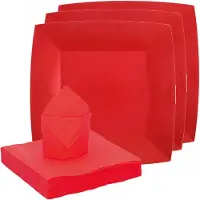 SANTEX servies set karton - 20x bordjes/25x servetten - rood - Feestbordjes