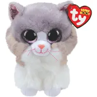 TY Asher de Kat 24cm
