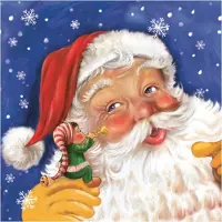 Daisy kerst thema servetten - 60x st - 33 x 33 cm - kerstman - papier