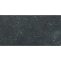 Navale Ficie vloertegel 30x60cm antraciet glans gerectificeerd