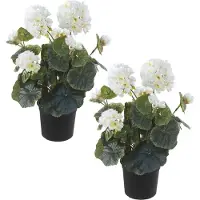 Louis Maes Set van 2x stuks witte geranium kunstplanten in zwarte kunststof pot 35 cm - Pelargonium Graveolens - Woondecoratie