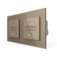Livolo | Goud | SR+SR | Slide-Dimmer | Smart Home - Bekijk hier!