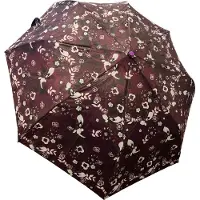 R&B Paars - Bloemen - Automatische Luxe Paraplu - Stormparaplu – Opvouwbaar & Windproof - Ø 100 cm