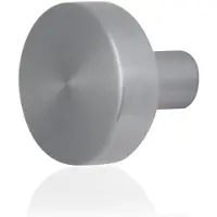 GPF bouwbeslag RVS geborsteld Vlakke knop 52x16mm vast incl. knopvastzetter
