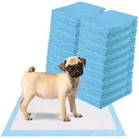 Coast Training Pad Dog Puppy Pad Puppy Hygiëne documenten Wegwerp pad Pipi-Pad 200 stuks