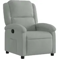 vidaXL Relaxfauteuil, lichtgrijs, fluweel
