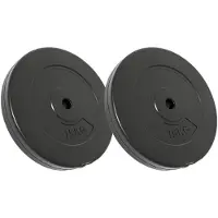 vidaXL Halterschijven 2 stuks 30 kg beton