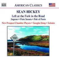 OUTHERE New Prospect Chamber Players, Sungjin Hong - Hickey: Left At The Fork In The Road - Sagesse - Flute Sonata - Pair Of Pants (CD)
