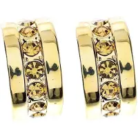 Behave - Oorknoppen goudkleur met kristallen - Elegante sieraden