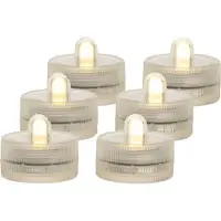 Ideas 4 Seasons Ideas4seasons LED waxinelichtjes/theelichtjes voor onder water - set van 6x - warm wit - zinkend