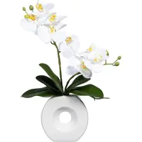 Kopu kunstbloem te orchidee 35 cm in mooie te vaas phalenopsis