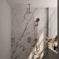 Brauer Brushed Carving thermostatische inbouw regendouche 3-weg omstelling SET 47 met 20 cm douchekop en plafondarm en 3-standen handdouche en doucheslang en geïntegreerde glijstang RVS geborsteld PVD
