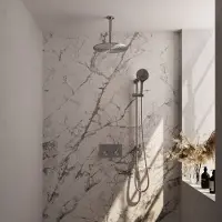 Brauer Brushed Edition thermostatische inbouw regendouche met drukknoppen SET 72 met 30 cm douchekop en plafondarm en 3-standen handdouche en doucheslang en geïntegreerde glijstang RVS geborsteld PVD