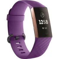 Shop4 - Geschikt voor Fitbit Charge 4 Bandje - Siliconen Paars