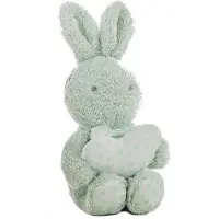 Creaciones Llopis Geschenkdoos Mena Koraal 100x75 + Konijn Scence Teddybeer Geassorteerd 24 Cm