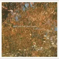 Konkurrent The Baird Sisters - Until You Find Your Green (LP) (Reissue)
