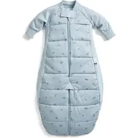 ErgoPouch Sleepsuit Slaapzak- 2,5 Tog - Slaapzak baby - Slaapzakken - Slaapzak kind winter - 2-4 jaar - Dragonflies