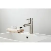 Saniclear Exclusive 304-RVS wastafelkraan eenhendel