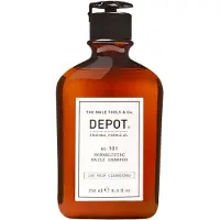 Depot NO. 101 Normalizing Daily Shampoo