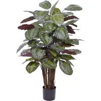 Maxifleur Kunstplanten Calathea Roseopicta kunstplant Deluxe 125cm rood